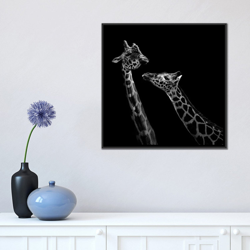 «Two Giraffes», reproduction de photo sur toile, H 26 po x l 26 po x P 1,5 po, Toile avec cadre noir, Pas de tapis