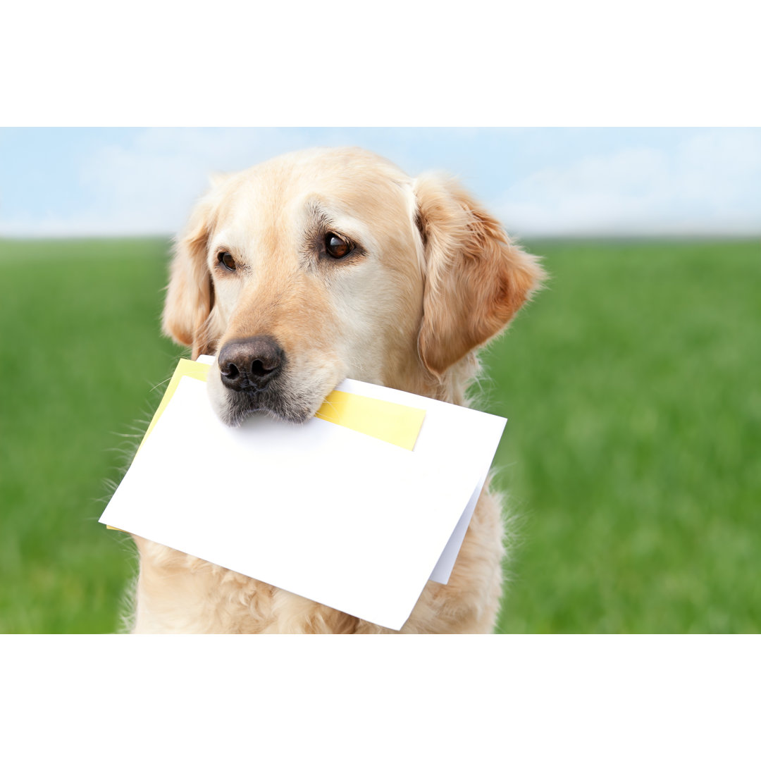 Golden Retriever With Letters von PK-Photos - Kunstdrucke auf Leinwand ohne Rahmen