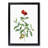 Pomegranate Tree Branch by Pierre-Joseph Redoute - Picture Frame Painting Print-55601480-55601481
