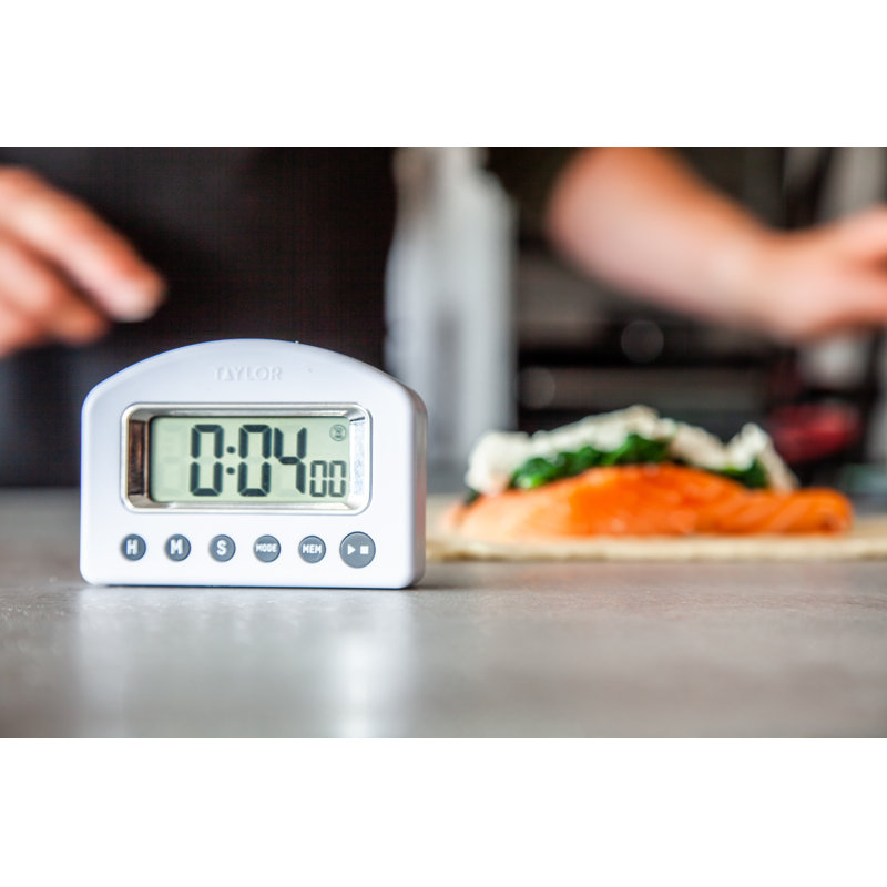 Taylor Pro Digital Scale