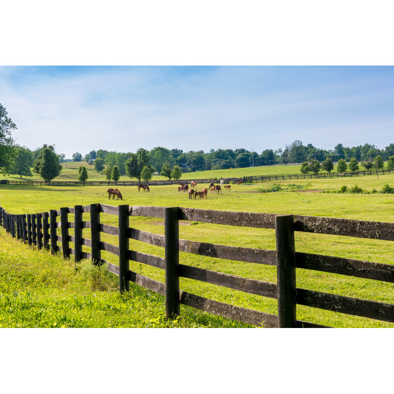 Horses At Horse Farm. Country Landscape. - Wrapped Canvas Print, 81cm H x 122cm W x 3.8cm D