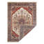 Xavious Oriental Area Rug