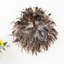 Feather Wall Decor