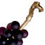 Grapes Decor-79555909