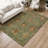 Machine Washable Indoor/Outdoor Chantille ACN2306 Global Rug-2059832848