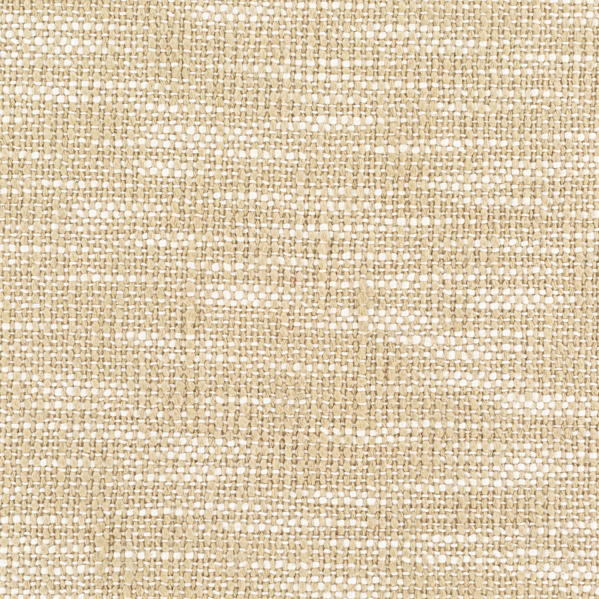 Alta Cotton Throw Pillow, Pillow Cover Only - No Insert, 20" x 20"