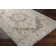 Dienne Oriental Indoor Rug