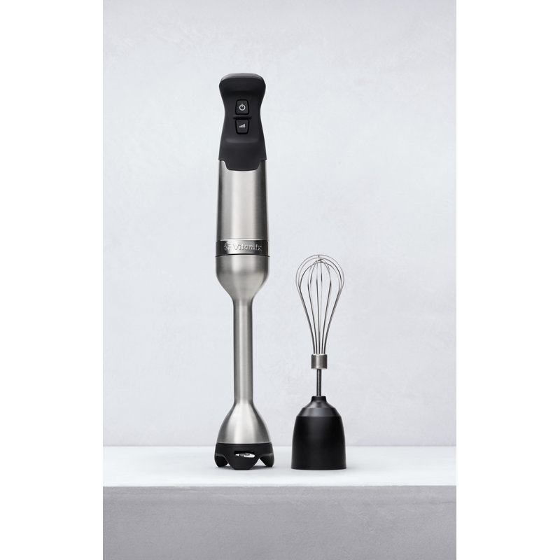 Silver Stainless Steel Immersion Blender with Whisk and Storage Case