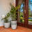 Dorlis Handmade Pot Planter-406649456-406649458