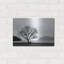 «Picnic Tree» par Photoinc Studio, art mural en métal-725232537