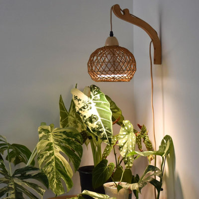 Éclairage de culture suspendu pour plantes d'intérieur, plante à spectre complet 18W