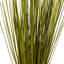 Faux Whip Grass Plant Preserved