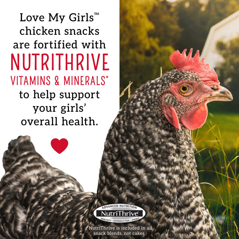 Love My Girls: Snacks de poulet - 5 grains et vers
