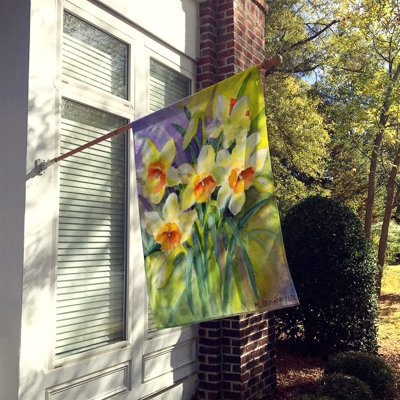 Drapeau de jardin 2 côtés daffodils par maureen bonfield