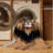Washable Transvaal Lion Big Cats Area Rug-2131092250