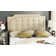Findlay Upholstered Headboard