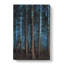 Evening Forest - Wrapped Canvas Painting-55370323