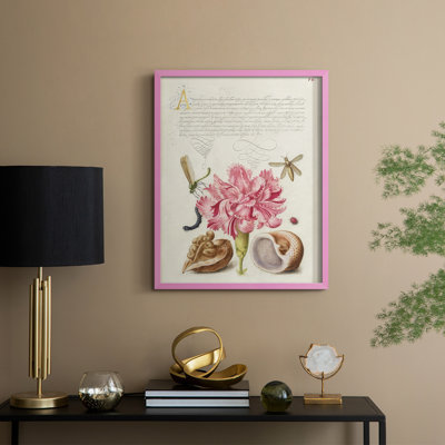 Hoefnagel Tropical Specimens VI Framed Print - Solid Wood
