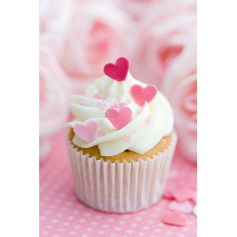 Cupcake - Wrapped Canvas Print, 30cm H x 20cm W x 3.8cm D