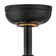 Burghard 50'' Ceiling Fan with LED Lights