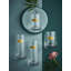 Spode, Creatures of Curiosity - Tumblers-61713195