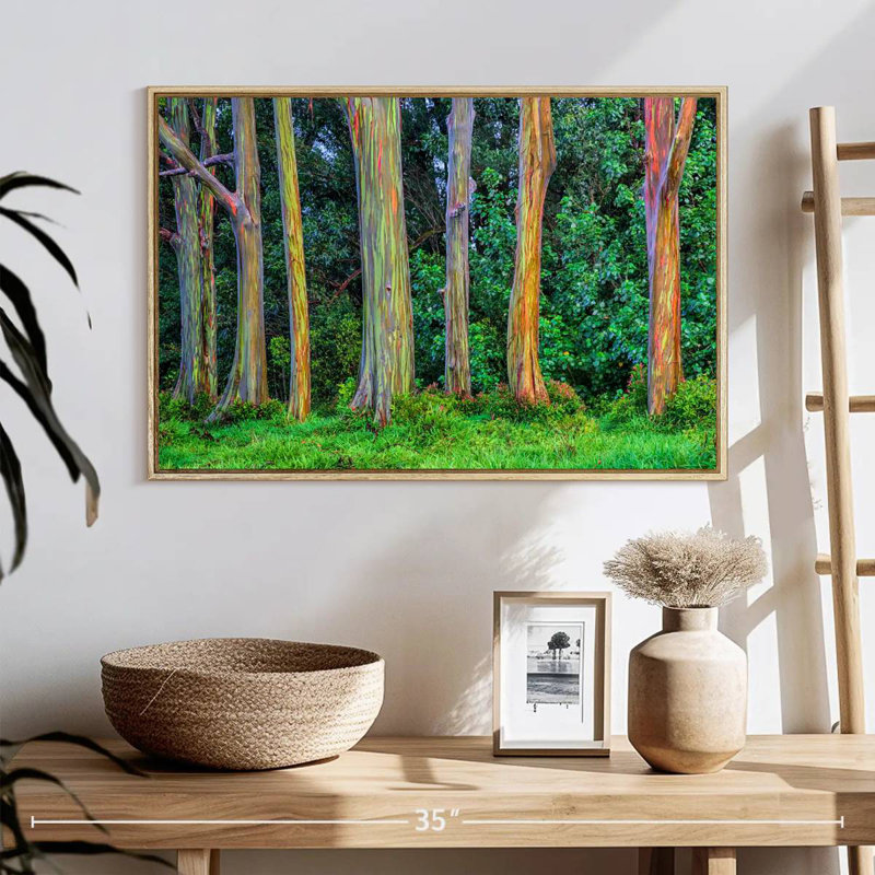 Eucalyptus arc-en-ciel, Cadre flottant en bois naturel, 25 po x 17 po