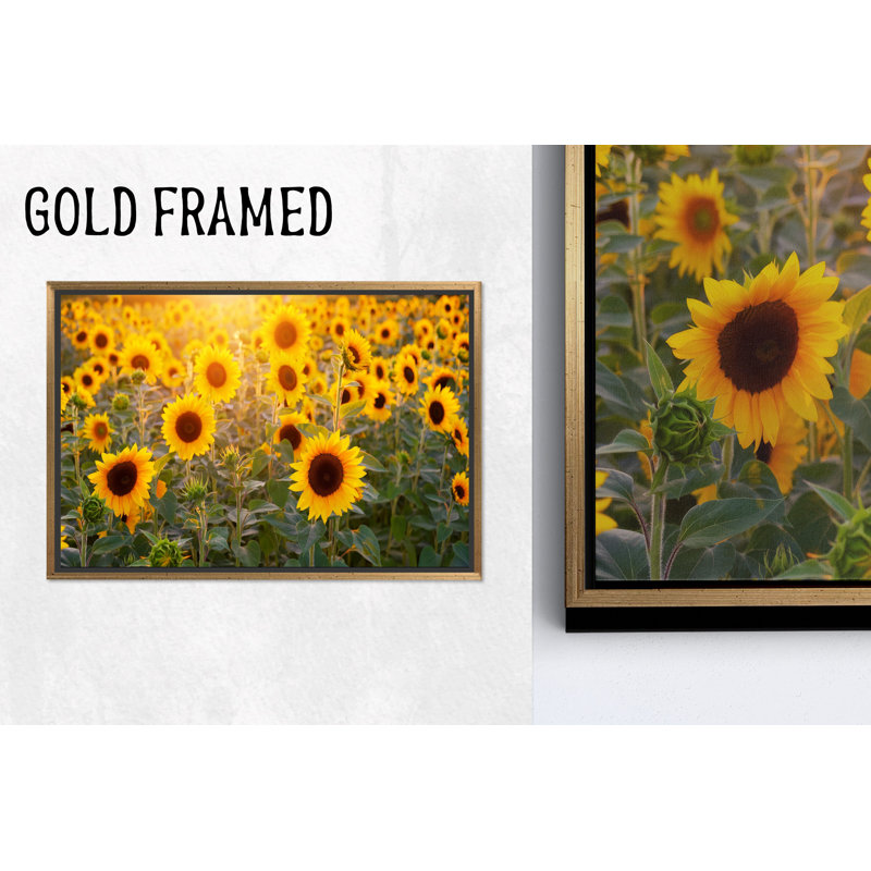 Œuvre imprimée sur toile: conception graphique de tournesol pour décor de maison de campagne, 1P or encadré