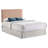 Blush Rectangular Headboard-2053308948-2053308951