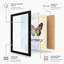 Specimen Butterfly Vintage - Print-206791034-206791013