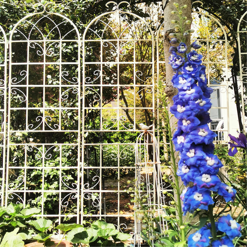 Treillis de jardin crème blanc 86,7 po x 19,7 po en métal antirouille, paquet de 4 pour plantes grimpantes, support de fleurs extérieur, tuyau rond galvanisé