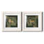 Jungle Lion - 2 Piece Print-1693152460-1693152459