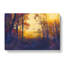 Woodland Path In Poland - Wrapped Canvas-56642171