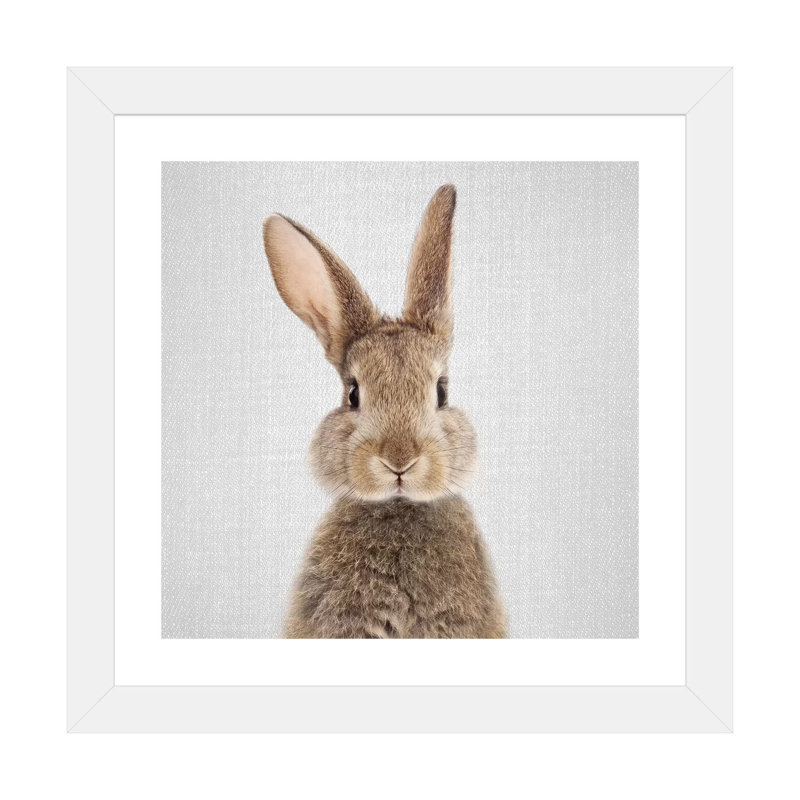 «Rabbit» - reproduction de photo, H 24 po x l 24 po x p 1 po, Papier blanc
