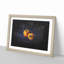 Orange Bell Peppers - Single Picture Frame Print on MDF-56866198-56866201