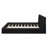 Queen Size Upholstered Platform Bed-1836179695