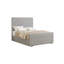 Upholstered Bed-284666879-284666758