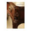 Buckingham 63.5'' W Solid Wood Console Table