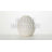 Inniyan Ceramic Table Vase-371147654
