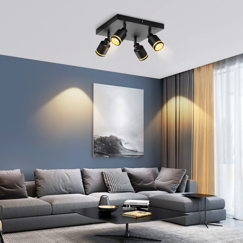 Stelica Spotlight