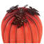 Ensemble de présentoir lumineux 2 pièces Pumpkin
