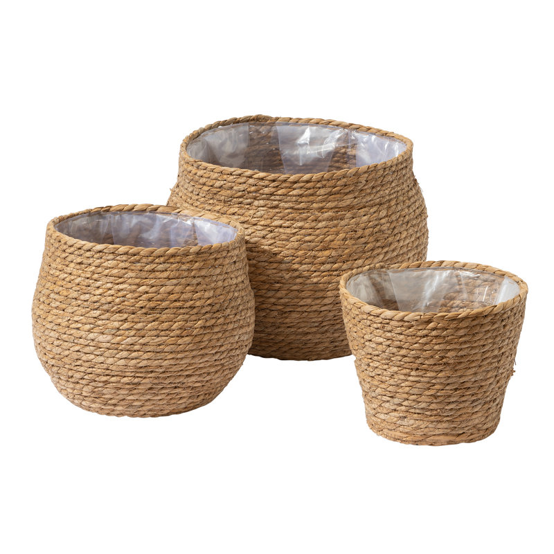 Pot de fleurs d'intérieur en ruppie maritime Bessy (ensemble de 3), H 8,7 po x l 10 po x P 13,5 po