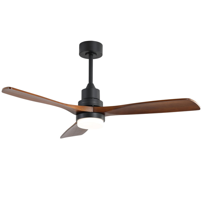 Ceiling Fan with LED Lights