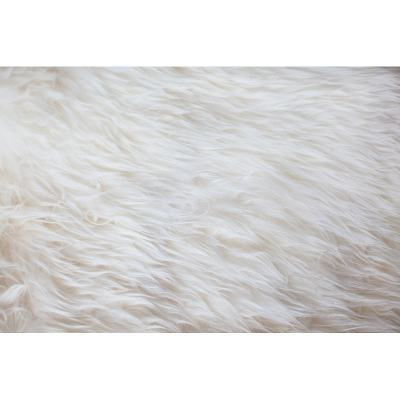 White Fur Texture Background by Marco_Piunti - Wrapped Canvas Print, 51cm H x 76cm W x 3.8cm D