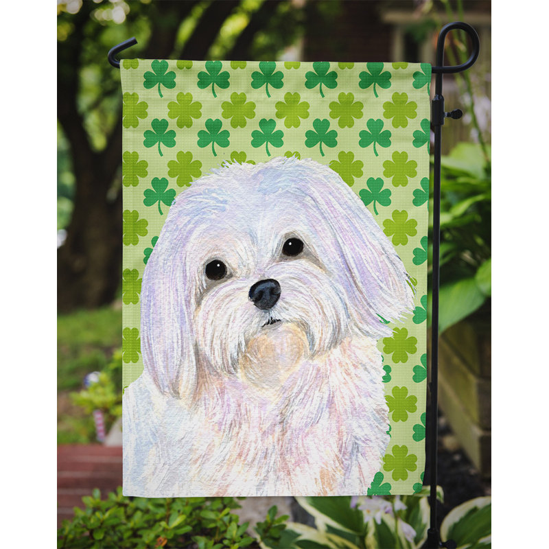 Drapeau de jardin à 2 côtés st. patrick day trèfle, Bichon maltais 2