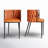 Tyrone Woven Strap Dining Arm Chair Set with Weave Design and Sleek Metal Frame-1347533726-1393864716