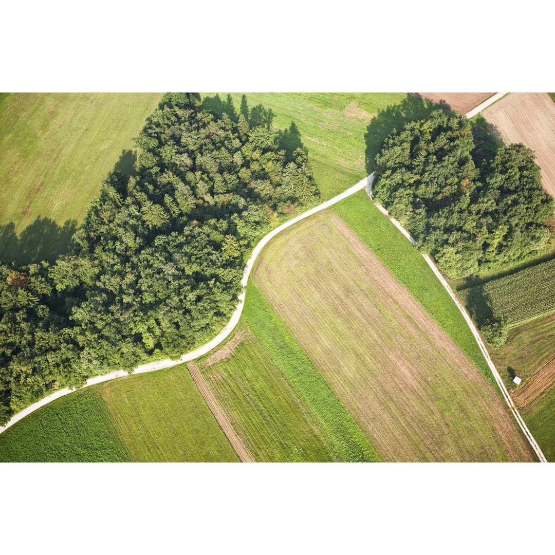 Landstraße von Mbbirdy - Drucken