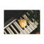 «Piano Rose Music Lover's Delight Piano», art mural sur toile-1073950161