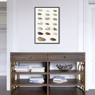 «Twenty Tropical Shells», impression sur toile