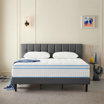 Peggy 12'' Medium Mattress