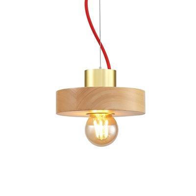 - Light Pendant